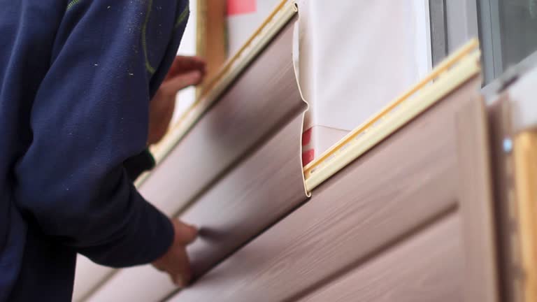 Best Dumpster Rental Services  in Brentwood, CA